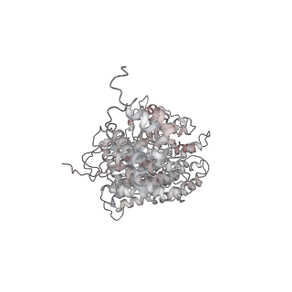 21691_6wjd_f_v1-3
SA-like state of human 26S Proteasome with non-cleavable M1-linked hexaubiquitin and E3 ubiquitin ligase E6AP/UBE3A