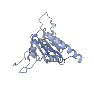21691_6wjd_g_v1-2
SA-like state of human 26S Proteasome with non-cleavable M1-linked hexaubiquitin and E3 ubiquitin ligase E6AP/UBE3A