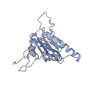 21691_6wjd_g_v1-3
SA-like state of human 26S Proteasome with non-cleavable M1-linked hexaubiquitin and E3 ubiquitin ligase E6AP/UBE3A