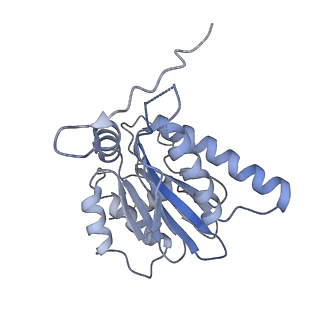 21691_6wjd_h_v1-2
SA-like state of human 26S Proteasome with non-cleavable M1-linked hexaubiquitin and E3 ubiquitin ligase E6AP/UBE3A