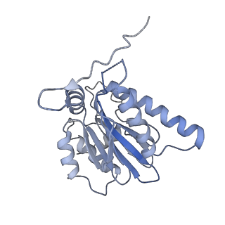 21691_6wjd_h_v1-3
SA-like state of human 26S Proteasome with non-cleavable M1-linked hexaubiquitin and E3 ubiquitin ligase E6AP/UBE3A