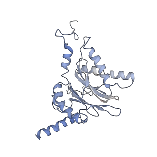 21691_6wjd_i_v1-2
SA-like state of human 26S Proteasome with non-cleavable M1-linked hexaubiquitin and E3 ubiquitin ligase E6AP/UBE3A