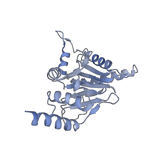 21691_6wjd_j_v1-2
SA-like state of human 26S Proteasome with non-cleavable M1-linked hexaubiquitin and E3 ubiquitin ligase E6AP/UBE3A
