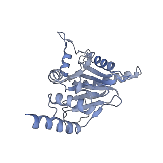 21691_6wjd_j_v1-3
SA-like state of human 26S Proteasome with non-cleavable M1-linked hexaubiquitin and E3 ubiquitin ligase E6AP/UBE3A