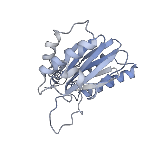 21691_6wjd_k_v1-2
SA-like state of human 26S Proteasome with non-cleavable M1-linked hexaubiquitin and E3 ubiquitin ligase E6AP/UBE3A