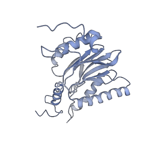 21691_6wjd_l_v1-2
SA-like state of human 26S Proteasome with non-cleavable M1-linked hexaubiquitin and E3 ubiquitin ligase E6AP/UBE3A
