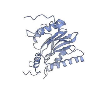 21691_6wjd_l_v1-3
SA-like state of human 26S Proteasome with non-cleavable M1-linked hexaubiquitin and E3 ubiquitin ligase E6AP/UBE3A