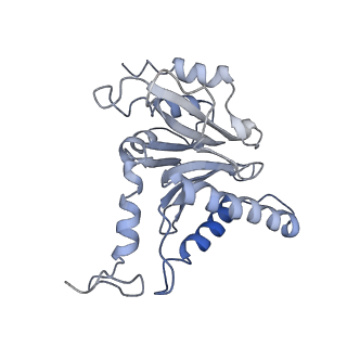 21691_6wjd_m_v1-2
SA-like state of human 26S Proteasome with non-cleavable M1-linked hexaubiquitin and E3 ubiquitin ligase E6AP/UBE3A