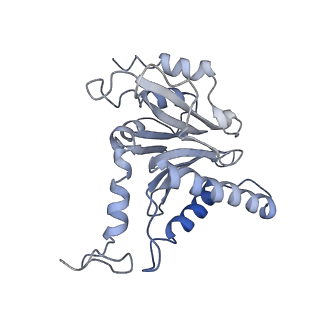 21691_6wjd_m_v1-3
SA-like state of human 26S Proteasome with non-cleavable M1-linked hexaubiquitin and E3 ubiquitin ligase E6AP/UBE3A