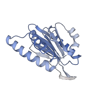 21691_6wjd_n_v1-2
SA-like state of human 26S Proteasome with non-cleavable M1-linked hexaubiquitin and E3 ubiquitin ligase E6AP/UBE3A