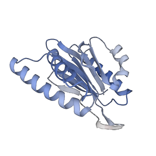 21691_6wjd_n_v1-3
SA-like state of human 26S Proteasome with non-cleavable M1-linked hexaubiquitin and E3 ubiquitin ligase E6AP/UBE3A