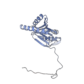 21691_6wjd_o_v1-2
SA-like state of human 26S Proteasome with non-cleavable M1-linked hexaubiquitin and E3 ubiquitin ligase E6AP/UBE3A