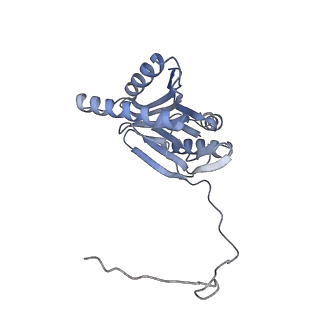 21691_6wjd_o_v1-3
SA-like state of human 26S Proteasome with non-cleavable M1-linked hexaubiquitin and E3 ubiquitin ligase E6AP/UBE3A