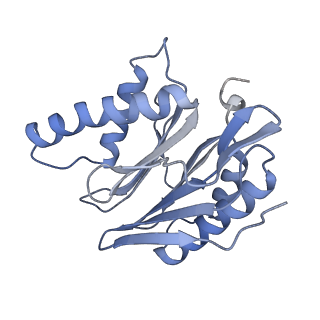 21691_6wjd_p_v1-2
SA-like state of human 26S Proteasome with non-cleavable M1-linked hexaubiquitin and E3 ubiquitin ligase E6AP/UBE3A