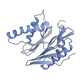 21691_6wjd_p_v1-3
SA-like state of human 26S Proteasome with non-cleavable M1-linked hexaubiquitin and E3 ubiquitin ligase E6AP/UBE3A