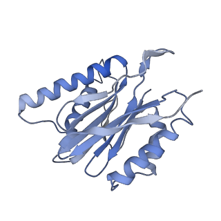 21691_6wjd_q_v1-2
SA-like state of human 26S Proteasome with non-cleavable M1-linked hexaubiquitin and E3 ubiquitin ligase E6AP/UBE3A