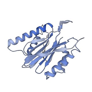 21691_6wjd_q_v1-3
SA-like state of human 26S Proteasome with non-cleavable M1-linked hexaubiquitin and E3 ubiquitin ligase E6AP/UBE3A