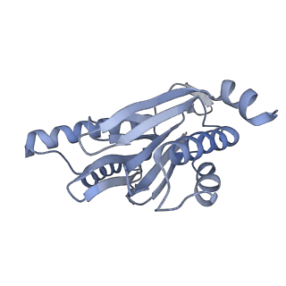 21691_6wjd_r_v1-2
SA-like state of human 26S Proteasome with non-cleavable M1-linked hexaubiquitin and E3 ubiquitin ligase E6AP/UBE3A