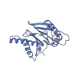 21691_6wjd_s_v1-2
SA-like state of human 26S Proteasome with non-cleavable M1-linked hexaubiquitin and E3 ubiquitin ligase E6AP/UBE3A