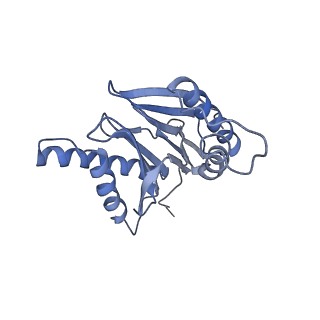 21691_6wjd_s_v1-3
SA-like state of human 26S Proteasome with non-cleavable M1-linked hexaubiquitin and E3 ubiquitin ligase E6AP/UBE3A