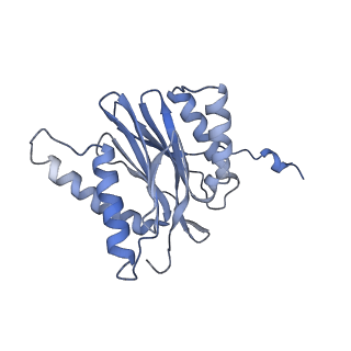 21691_6wjd_t_v1-2
SA-like state of human 26S Proteasome with non-cleavable M1-linked hexaubiquitin and E3 ubiquitin ligase E6AP/UBE3A