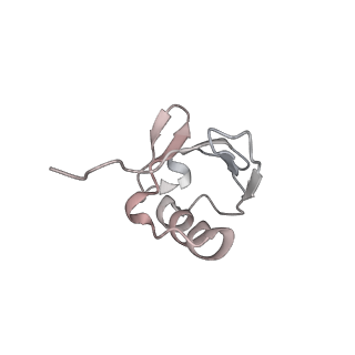 21691_6wjd_u_v1-2
SA-like state of human 26S Proteasome with non-cleavable M1-linked hexaubiquitin and E3 ubiquitin ligase E6AP/UBE3A