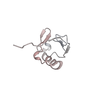 21691_6wjd_u_v1-3
SA-like state of human 26S Proteasome with non-cleavable M1-linked hexaubiquitin and E3 ubiquitin ligase E6AP/UBE3A