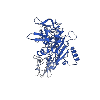 21694_6wjj_A_v1-1
Anthrax octamer prechannel bound to full-length lethal factor