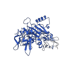 21694_6wjj_C_v1-1
Anthrax octamer prechannel bound to full-length lethal factor