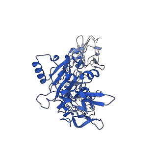 21694_6wjj_D_v1-1
Anthrax octamer prechannel bound to full-length lethal factor