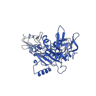 21694_6wjj_E_v1-1
Anthrax octamer prechannel bound to full-length lethal factor