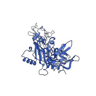 21694_6wjj_G_v1-1
Anthrax octamer prechannel bound to full-length lethal factor