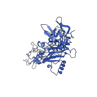 21694_6wjj_H_v1-1
Anthrax octamer prechannel bound to full-length lethal factor