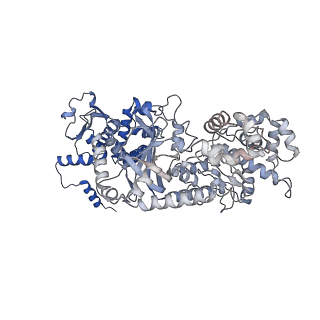 21694_6wjj_J_v1-1
Anthrax octamer prechannel bound to full-length lethal factor