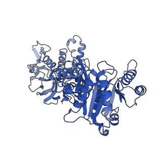 32542_7wj4_A_v1-0
Structural basis for ligand binding modes of CTP synthase