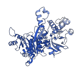 32542_7wj4_B_v1-0
Structural basis for ligand binding modes of CTP synthase