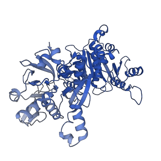 32542_7wj4_C_v1-0
Structural basis for ligand binding modes of CTP synthase