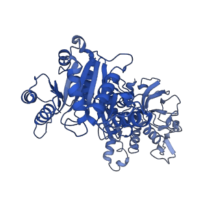 32542_7wj4_D_v1-0
Structural basis for ligand binding modes of CTP synthase