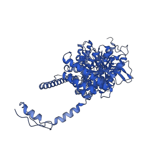 32545_7wjm_A_v1-3
CryoEM structure of chitin synthase 1 from Phytophthora sojae
