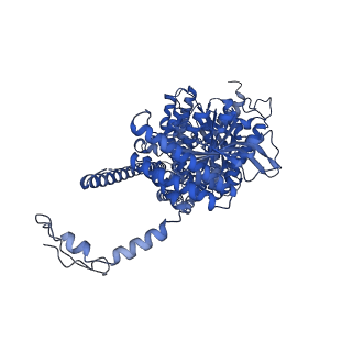 32547_7wjo_A_v1-3
CryoEM structure of chitin synthase 1 from Phytophthora sojae complexed with nikkomycin Z