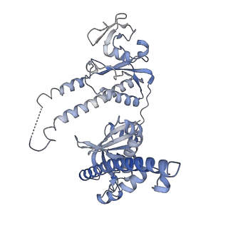 32548_7wju_A_v1-0
Cryo-EM structure of the AsCas12f1-sgRNAv1-dsDNA ternary complex