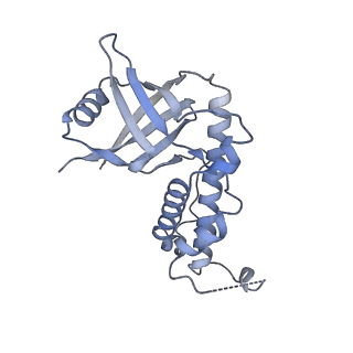 32548_7wju_B_v1-0
Cryo-EM structure of the AsCas12f1-sgRNAv1-dsDNA ternary complex