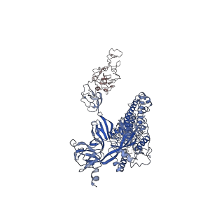 32552_7wjy_A_v1-1
Omicron spike trimer with 6m6 antibody