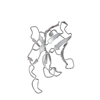 32552_7wjy_B_v1-1
Omicron spike trimer with 6m6 antibody