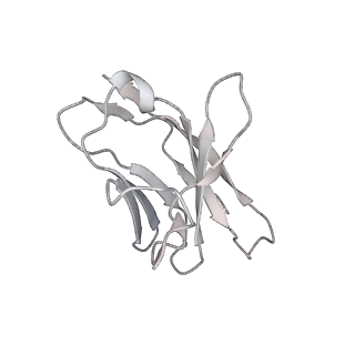 32552_7wjy_C_v1-1
Omicron spike trimer with 6m6 antibody