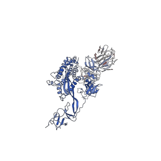 32552_7wjy_D_v1-1
Omicron spike trimer with 6m6 antibody