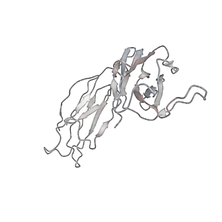 32552_7wjy_E_v1-1
Omicron spike trimer with 6m6 antibody