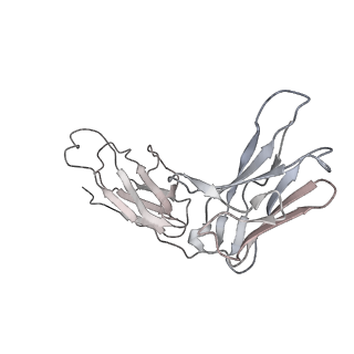 32552_7wjy_F_v1-1
Omicron spike trimer with 6m6 antibody