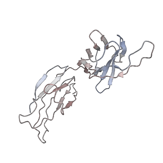 32553_7wjz_A_v1-1
Omicron Spike bitrimer with 6m6 antibody