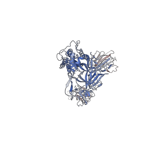 32553_7wjz_B_v1-1
Omicron Spike bitrimer with 6m6 antibody